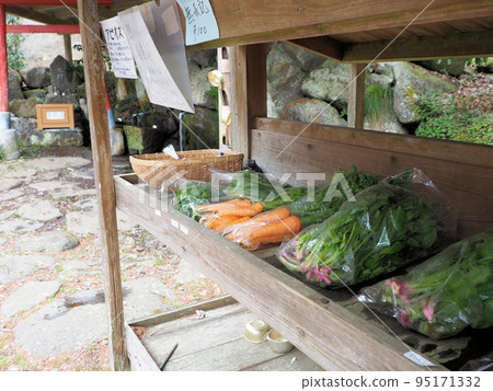 熊本縣阿蘇郡南小國町萬願寺立山水玄無神營業所 熊本縣阿蘇郡南小國町萬願寺立山水玄無神營業所 95171332