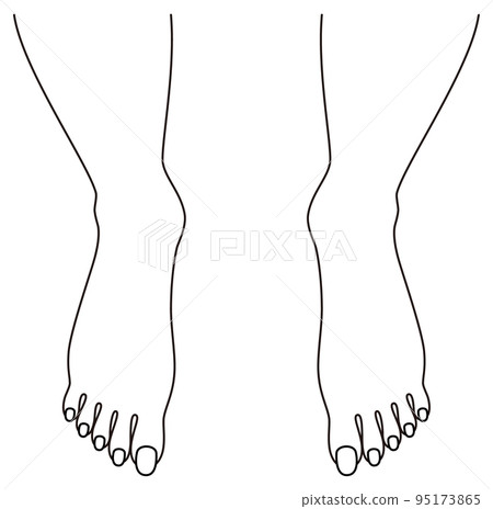 Feet of a beautiful barefoot woman's toes illustration vector 95173865