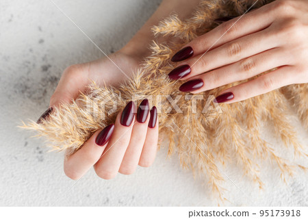 Hands of a young woman with dark red manicure on nails 95173918