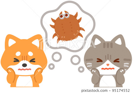 被蜱蟲嚇到的狗和貓 95174552