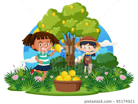 Girls picking mangoes from the tree Girls picking mangoes from the tree 95174921