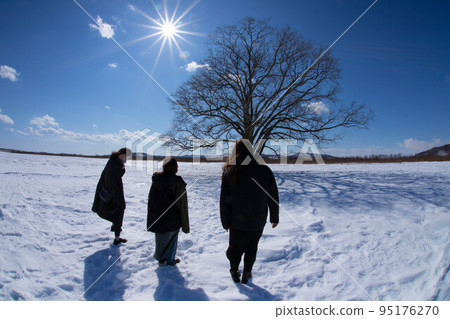 Harunire tree, winter cold, with friends Harunire tree, winter cold, with friends 95176270