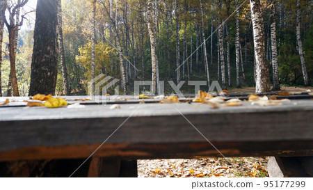 A wooden bench with a table in the autumn forest. 95177299