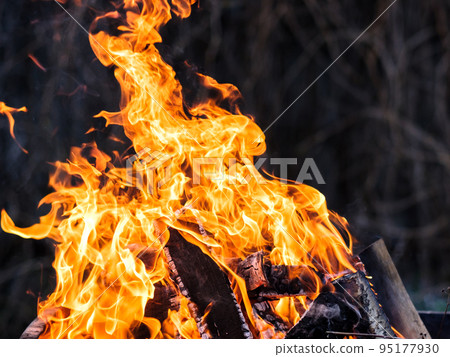 Bright orange fire from burning birch wood. Bright orange fire from burning birch wood. 95177930