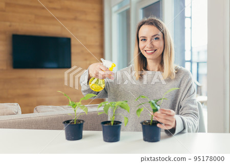 Young beautiful woman at home takes care of houseplants, sprays, sits at the table, grows plants at home, hobbies 95178000