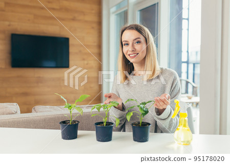 Young beautiful woman at home takes care of houseplants, sprays, sits at the table, grows plants at home, hobbies Young beautiful woman at home takes care of houseplants, sprays, sits at the table, grows plants at home, hobbies 95178020