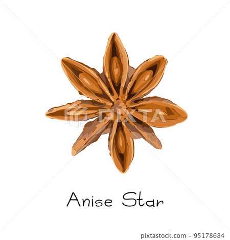 Collection of star anise, illicium or badiane isolated Collection of star anise, illicium or badiane isolated 95178684