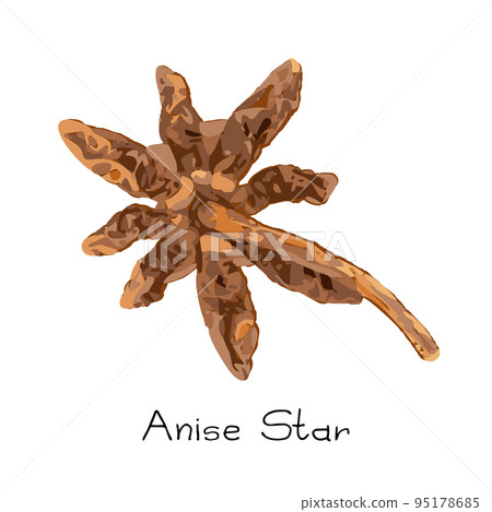 Collection of star anise, illicium or badiane isolated Collection of star anise, illicium or badiane isolated 95178685