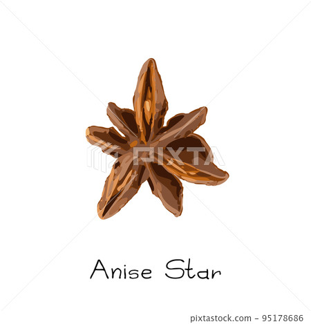 Collection of star anise, illicium or badiane isolated 95178686
