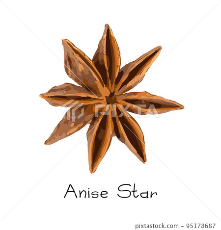 Collection of star anise, illicium or badiane isolated 95178687