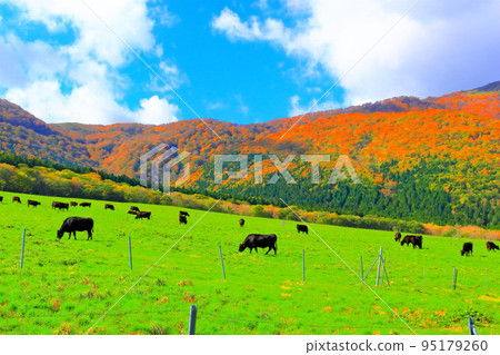 清爽的秋空和寧靜的牧場風光 95179260