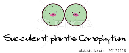 succulent plant mesen conophytum pageae conophytum pageae character illustration 95179328