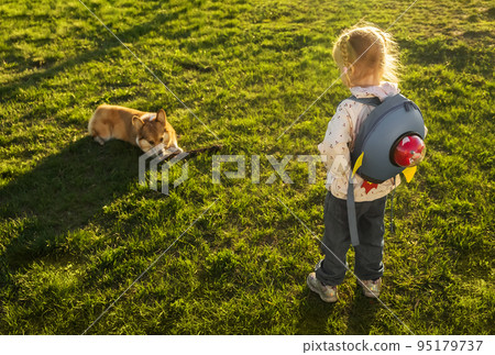 Smiling girl playing with her Welsh Corgi Pembroke puppy, smile and happy. Cute dog playing with a stick in the park.  95179737