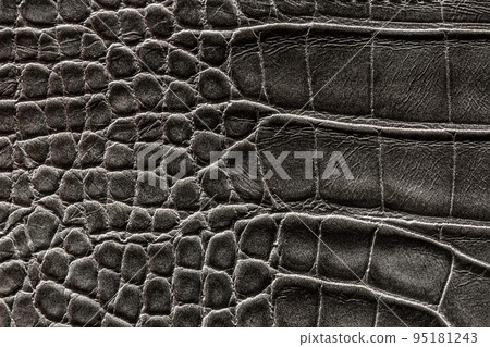 the texture of the skin is gray the texture of the skin is gray 95181243