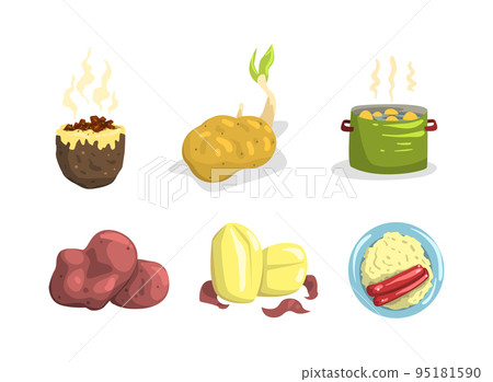 Potato Dish and Meal with Mashed on Plate, Boiling in Pot and Stuffed Vector Set 95181590