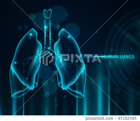 Human Lungs Background Human Lungs Background 95182595
