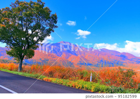 Clear autumn sky and vivid autumn leaves at the foot of the mountain Clear autumn sky and vivid autumn leaves at the foot of the mountain 95182599