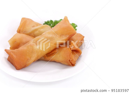 Spring rolls, deep-fried side dishes, bright background 95183597