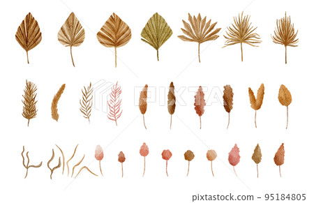 Set of Dried lunaria flower, pampas grass, tropical palm leaves. Pastel watercolor floral template isolated collection for wedding wreath, bouquet frames, decoration design elements. 95184805