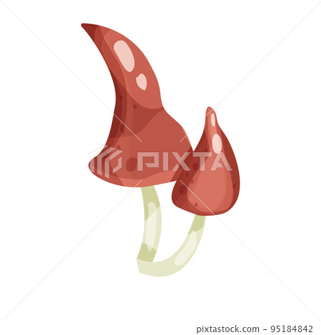 Wild mushrooms in cartoon style isolated on white background. Decoration, clip art, Wild mushrooms in cartoon style isolated on white background. Decoration, clip art, 95184842