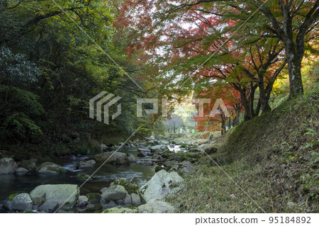 秋天峽谷 秋天峽谷 95184892