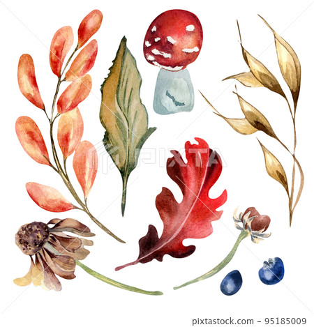 Set of colorful autumn plants and leaf watercolor illustration isolated on white background. Set of colorful autumn plants and leaf watercolor illustration isolated on white background. 95185009