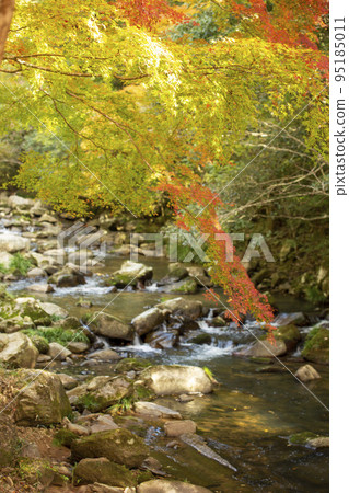 Autumn valley Autumn valley 95185011