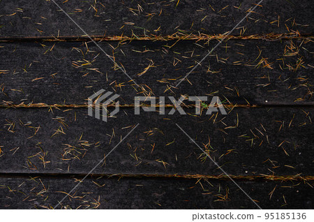 Liberal deciduous larch Liberal deciduous larch 95185136