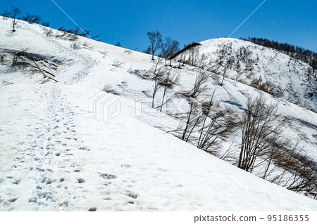Climbing Mount Toritate in Fukui Prefecture during the remaining snow season: View of Mount Toritate from Mount Kotsuburi 95186355