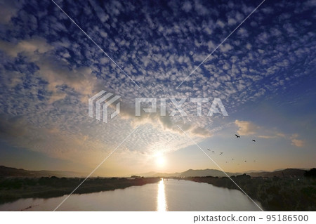 一群鳥兒在秋天的早晨天空中飛翔,各種雲彩/超廣角/天空主要/221001am 一群鳥兒在秋天的早晨天空中飛翔,各種雲彩/超廣角/天空主要/221001am 95186500