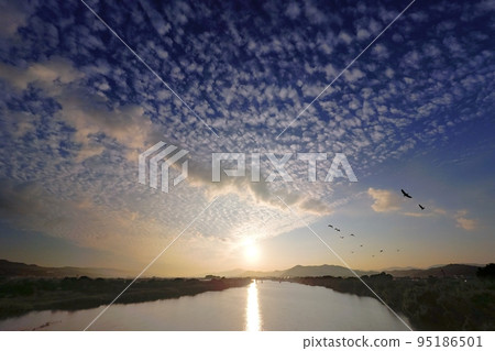 一群鳥兒在秋天的早晨天空中飛翔,各種雲彩/超廣角/天空主要/221001am 一群鳥兒在秋天的早晨天空中飛翔,各種雲彩/超廣角/天空主要/221001am 95186501