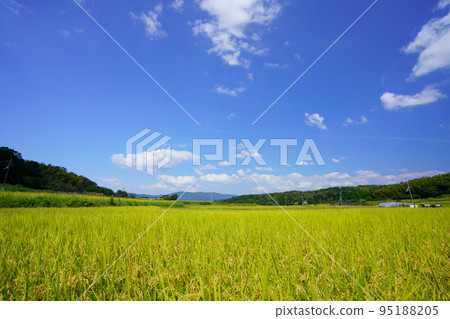 Harvest Autumn Fresh Autumn Clouds Kizugawa City Rural Scenery 95188205