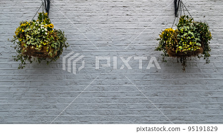 2 flower pots hanging on a white brick wall outside the house. 2 flower pots hanging on a white brick wall outside the house. 95191829