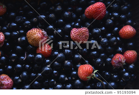 Background of fresh and juicy black currant and strawberry berries. Background of fresh and juicy black currant and strawberry berries. 95193094