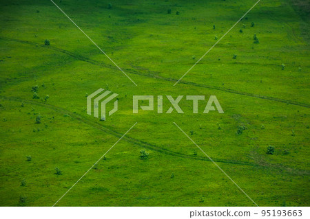 green grass natural background texture. mountain hillside in dappled light 95193663