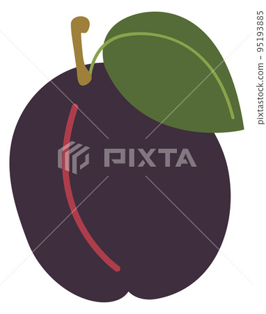 Plum color doodle. Garden sweet fruit icon 95193885