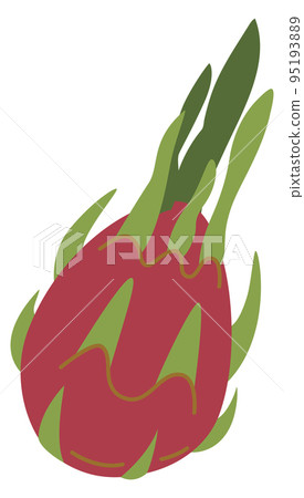Dragon fruit icon. Hand drawn exotic ripe food 95193889