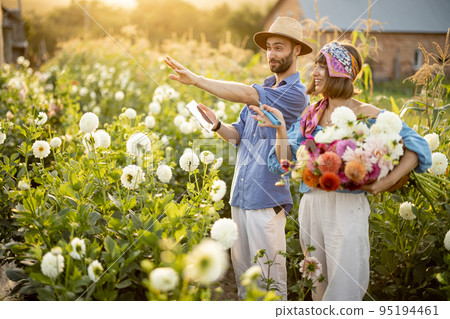 Farmers work on flower farm outdoors Farmers work on flower farm outdoors 95194461