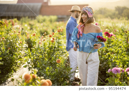 Man works at dahlia farm outdoors 95194474