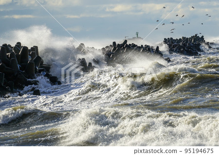 Big waves crash against the harbor breakwater concrete tetrapods during stormy weather 95194675