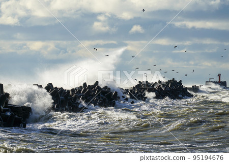 Big waves crash against the harbor breakwater concrete tetrapods during stormy weather 95194676