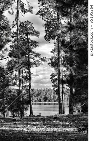 Woods Canyon Lake Arizona 95195264