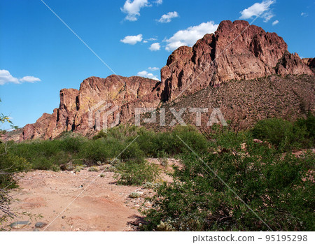 Sonora Desert Arizona 95195298