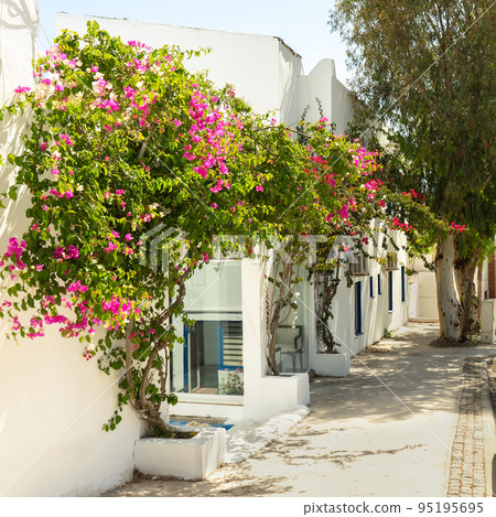 Traditional narrow street, white houses with flowers and architecture detail in Greece, Europe Traditional narrow street, white houses with flowers and architecture detail in Greece, Europe 95195695