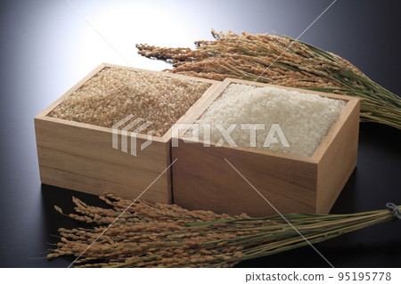糙米和白米 糙米和白米 95195778