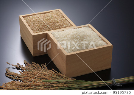 糙米和白米 糙米和白米 95195780