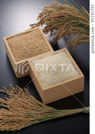 Brown rice and white rice 95195783