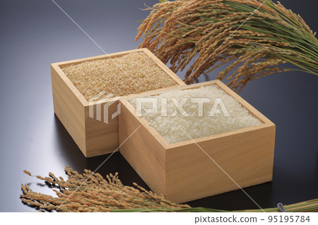 Brown rice and white rice Brown rice and white rice 95195784