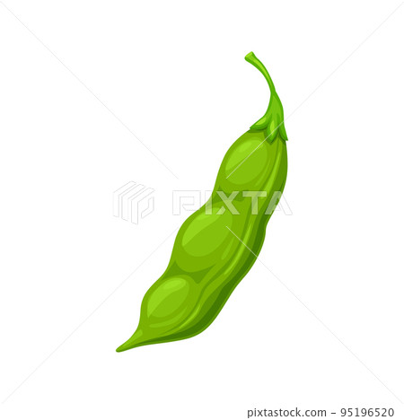 Raw soybeans pod, isolated ripe soy pod. Farm legumes plant or cartoon vector agriculture beans harvest. Soy food, vegetarian diet, natural nutrition ingredient 95196520