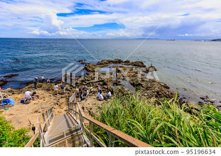 Kanagawa Prefecture, Yokosuka City, Sarushima (Oimonohana Hiroba) 95196634